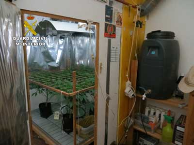 La Guardia Civil localiza una plantacin indoor de marihuana y detiene a una persona
