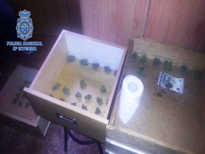 La Polica Nacional desmantela en Almera un punto de venta que suministraba marihuana a menores