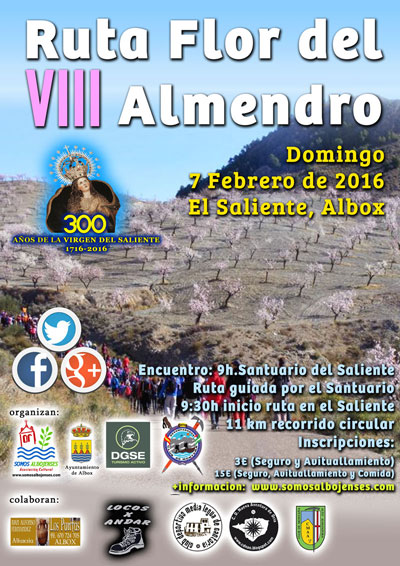 La VIII Ruta Flor de Almendro en Albox se celebrar este proximo Domingo dia 7 de Febrero