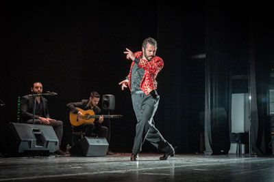 Gran xito de la Gala del Flamenco  de Roquetas de Mar con la participacin de Antonio Reyes, Roco Segura y Julio Ruiz
