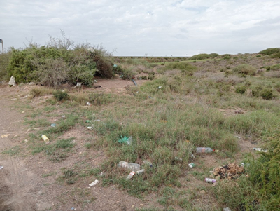 PACMA recrimina al Ayuntamiento de Almería su "incapacidad" para mantener "espacios rurales higiénicos"